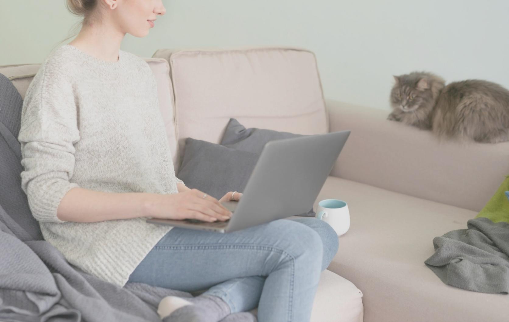 Процесс обучения команды